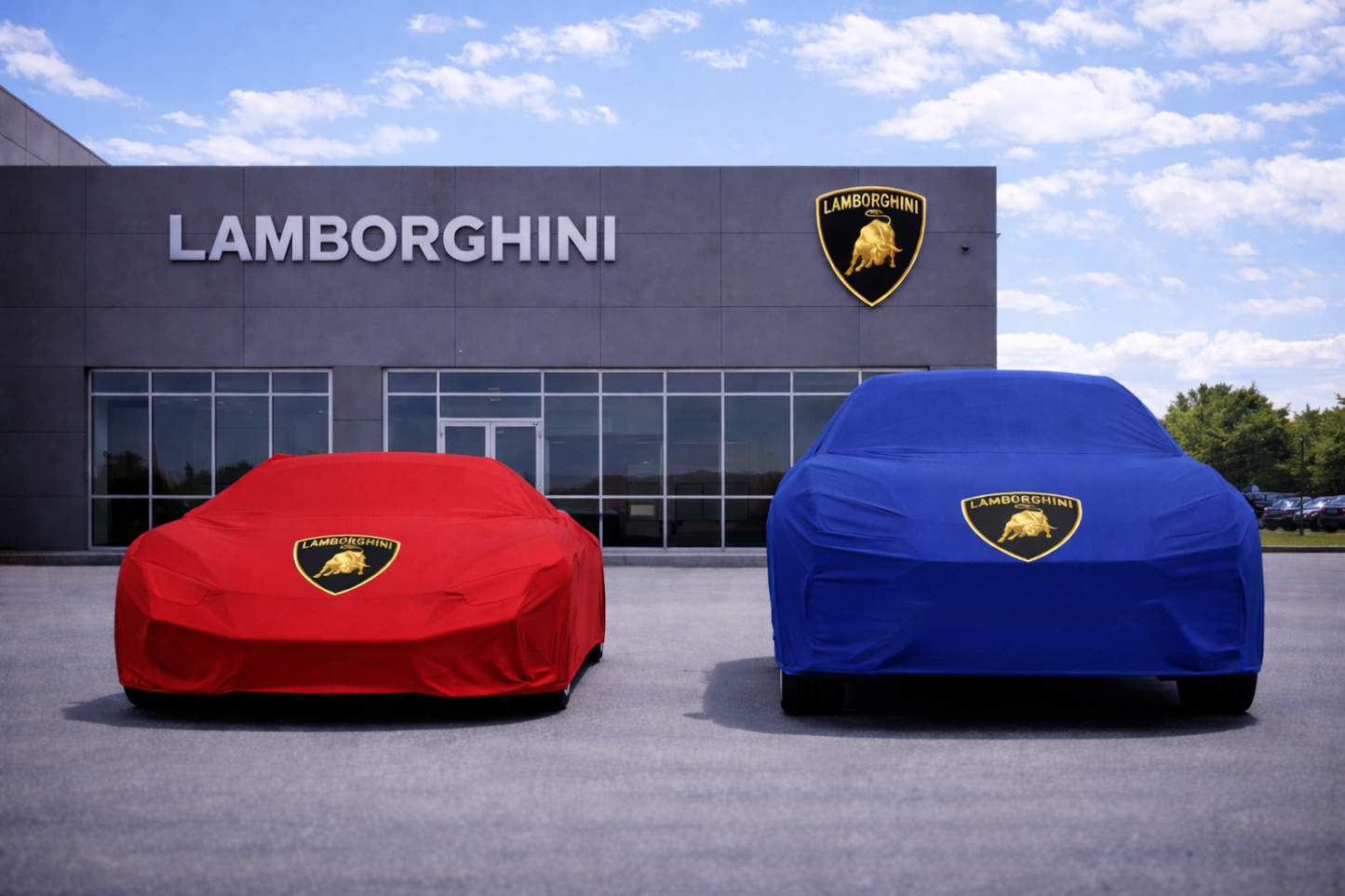 Lamborghini Murcielago Car Cover indoor Cover For all Model