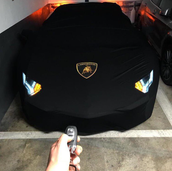 LAMBORGHINI Indoor Car Cover Custom Fit